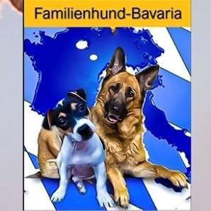 Hundeschulen-Familienhund Bavaria-Bild
