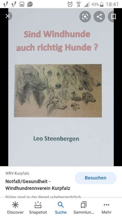 Windhunde - Treffen der besonderen Schönheiten
HERZLICH WILLKOMMEN-Beitrag-Bild