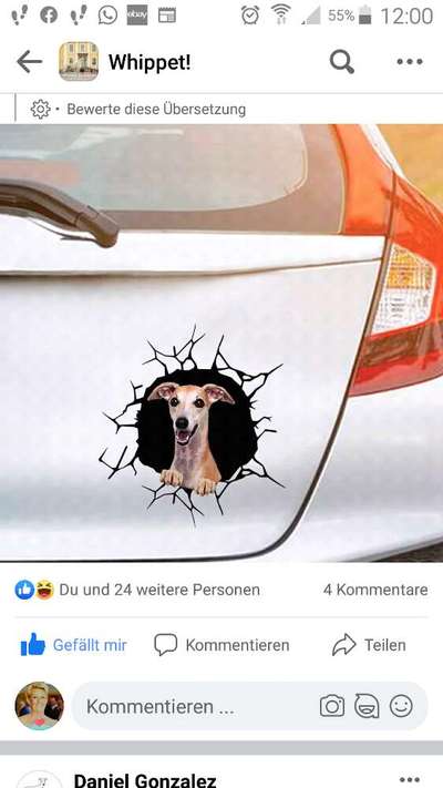 Windhunde - Treffen der besonderen Schönheiten
HERZLICH WILLKOMMEN-Beitrag-Bild