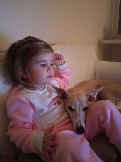 Windhunde - Treffen der besonderen Schönheiten
HERZLICH WILLKOMMEN-Beitrag-Bild