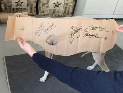 Windhunde und Winter - Pullover mit spezieller Passform?!-Beitrag-Bild