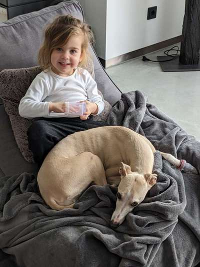 Windhunde - Treffen der besonderen Schönheiten
HERZLICH WILLKOMMEN-Beitrag-Bild