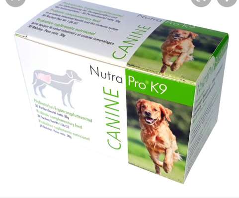 Fressen-Beitrag-Bild