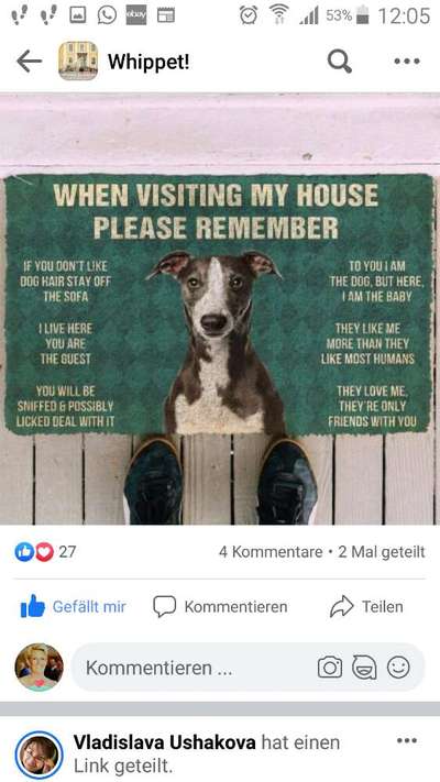 Windhunde - Treffen der besonderen Schönheiten
HERZLICH WILLKOMMEN-Beitrag-Bild