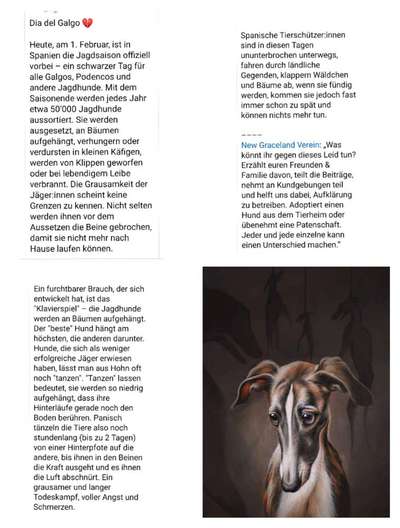 Windhunde - Treffen der besonderen Schönheiten
HERZLICH WILLKOMMEN-Beitrag-Bild