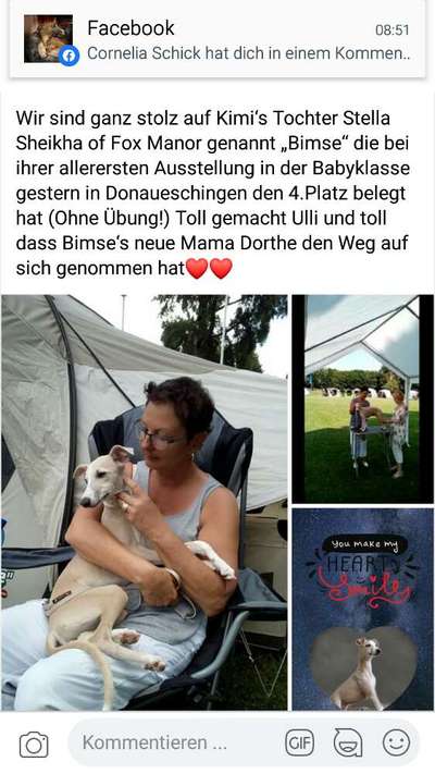 Windhunde - Treffen der besonderen Schönheiten
HERZLICH WILLKOMMEN-Beitrag-Bild