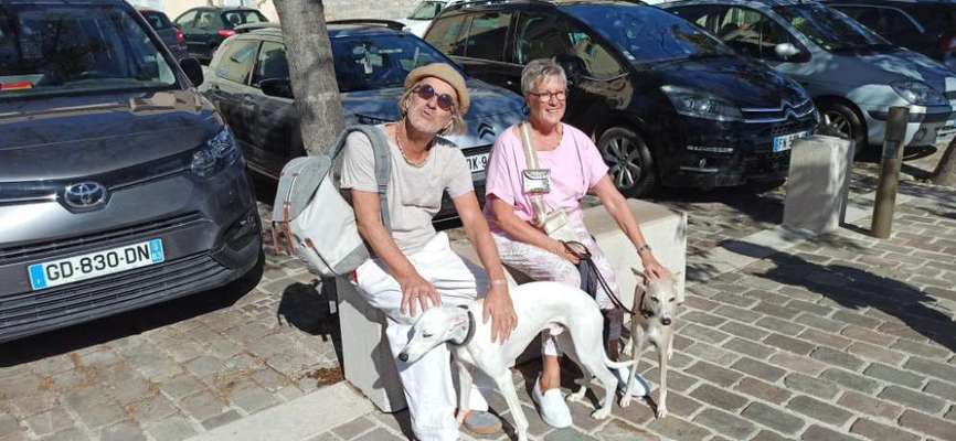 Windhunde - Treffen der besonderen Schönheiten
HERZLICH WILLKOMMEN-Beitrag-Bild