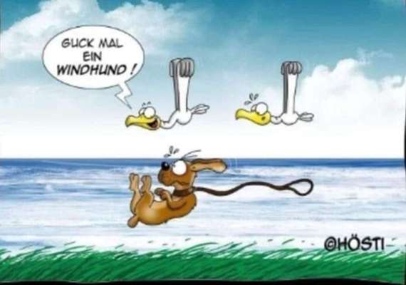 Windhunde - Treffen der besonderen Schönheiten
HERZLICH WILLKOMMEN-Beitrag-Bild