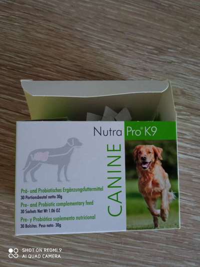 Windhunde - Treffen der besonderen Schönheiten
HERZLICH WILLKOMMEN-Beitrag-Bild