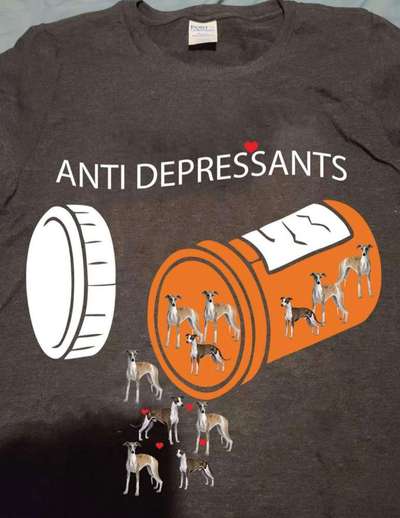 Windhunde - Treffen der besonderen Schönheiten
HERZLICH WILLKOMMEN-Beitrag-Bild