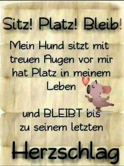 Windhunde - Treffen der besonderen Schönheiten
HERZLICH WILLKOMMEN-Beitrag-Bild