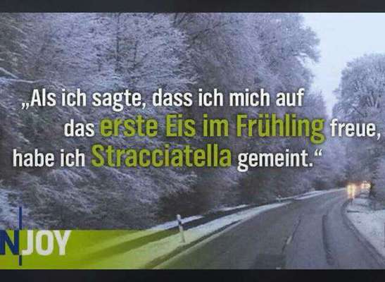 Windhunde - Treffen der besonderen Schönheiten
HERZLICH WILLKOMMEN-Beitrag-Bild