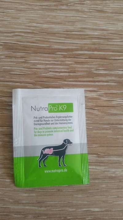 Windhunde - Treffen der besonderen Schönheiten
HERZLICH WILLKOMMEN-Beitrag-Bild