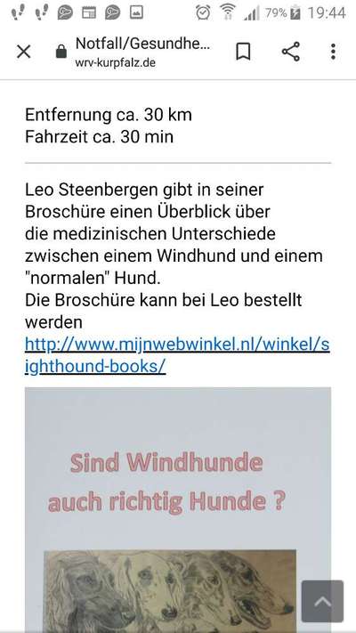 Windhunde - Treffen der besonderen Schönheiten
HERZLICH WILLKOMMEN-Beitrag-Bild
