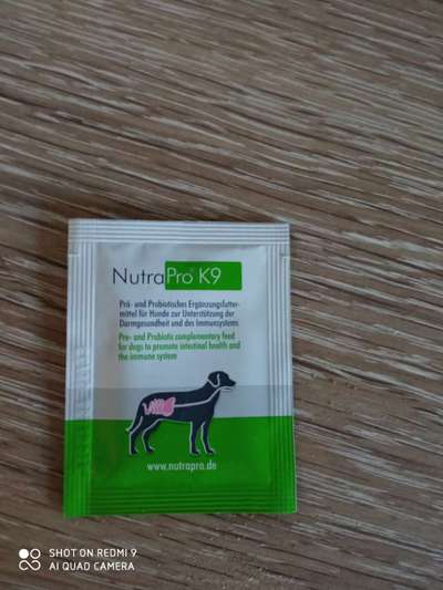 Windhunde - Treffen der besonderen Schönheiten
HERZLICH WILLKOMMEN-Beitrag-Bild