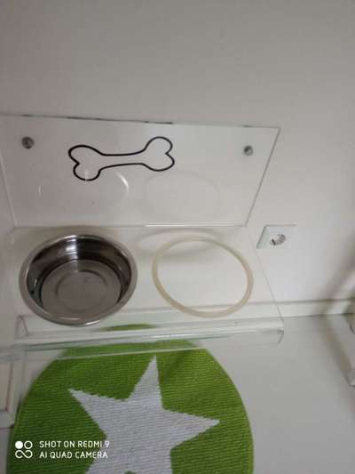 Windhunde - Treffen der besonderen Schönheiten
HERZLICH WILLKOMMEN-Beitrag-Bild