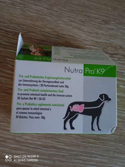 Windhunde - Treffen der besonderen Schönheiten
HERZLICH WILLKOMMEN-Beitrag-Bild