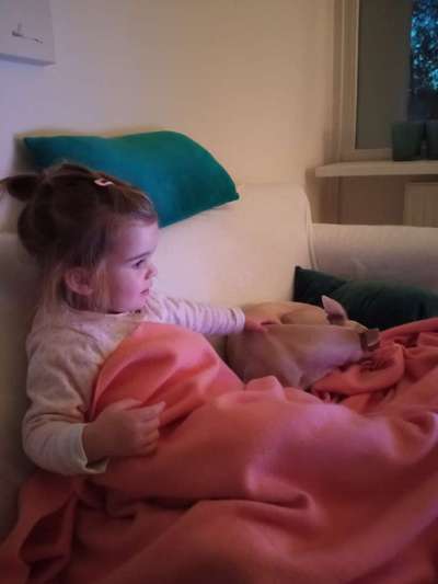 Windhunde - Treffen der besonderen Schönheiten
HERZLICH WILLKOMMEN-Beitrag-Bild