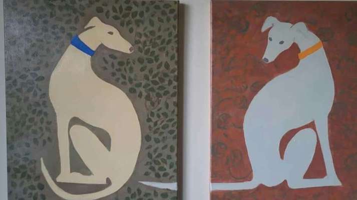 Whippet-Beitrag-Bild