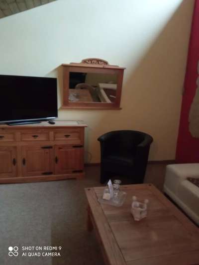 Windhunde - Treffen der besonderen Schönheiten
HERZLICH WILLKOMMEN-Beitrag-Bild