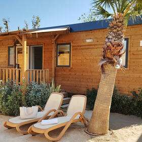 Windhunde - Treffen der besonderen Schönheiten
HERZLICH WILLKOMMEN-Beitrag-Bild