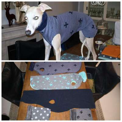 Windhunde und Winter - Pullover mit spezieller Passform?!-Beitrag-Bild