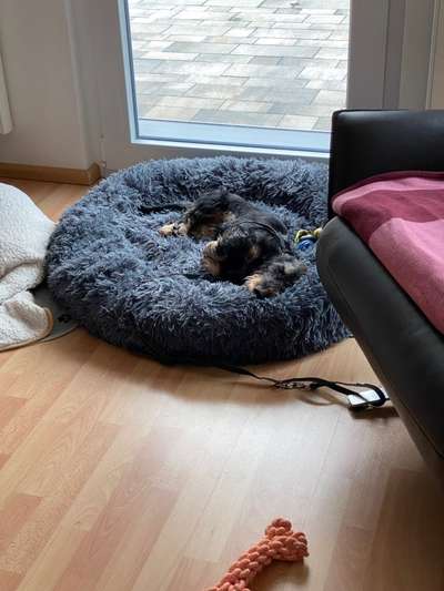 Probleme mit Ruhe und Schlaf-Beitrag-Bild