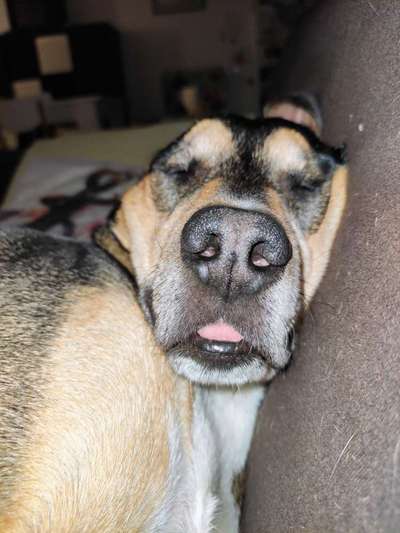 FOTO-Challenge  NR. 91: Die pure Entspannung-Beitrag-Bild