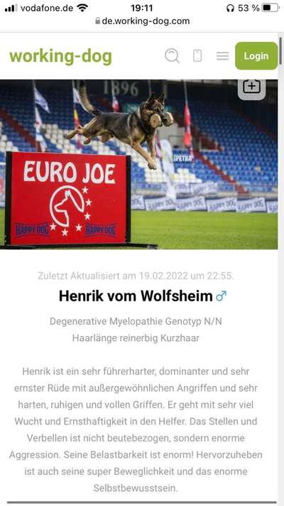 Alles rund um den Schäferhund, diskutieren erwünscht.-Beitrag-Bild