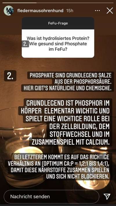 The Good Stuff / Platinum / Wolfsblut im Vergleich-Beitrag-Bild