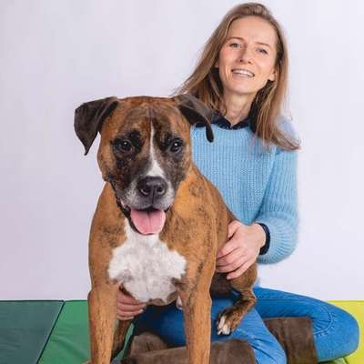 Giftköder-TierPhysiotherapie & TierNaturheilkunde-Bild