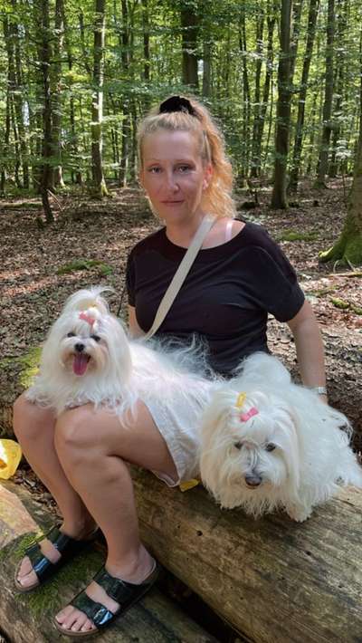 Hundetreffen-Kleinhundetreff Bad Camberg-Bild