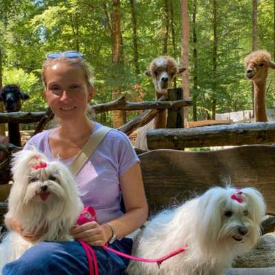 Hundetreffen-Kleinhundetreff Wiesbaden-Bild