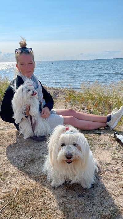 Hundetreffen-Kleinhundetreff Bad Camberg-Bild