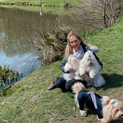 Hundetreffen-Kleinhundetreff mit Spaziergang-Bild