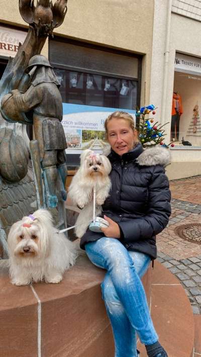 Hundetreffen-Kleinhundetreff Bad Camberg-Bild