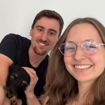 Hundetreffen-Gassi- und Spieltreffen-Bild