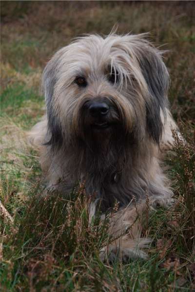 Welche Sätze hört ihr oft?-Beitrag-Bild