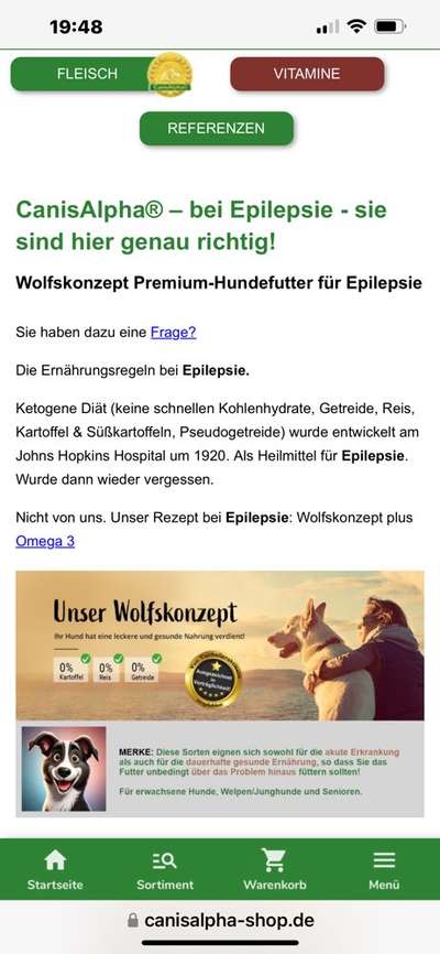 Welches Futter für Epileptiker?-Beitrag-Bild