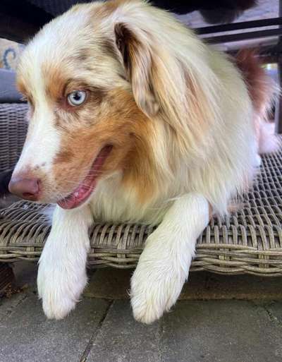 Welche Sätze hört ihr oft?-Beitrag-Bild