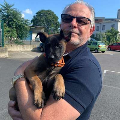 Hundetreffen-Freund/Freundin gesucht zum Auspowern