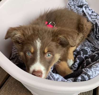 Lieblingsbild-Beitrag-Bild