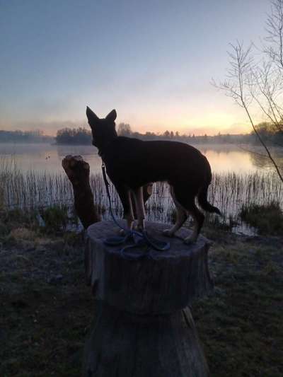 Fotochallenge Nr.100 Urlaubsimpressionen-Beitrag-Bild