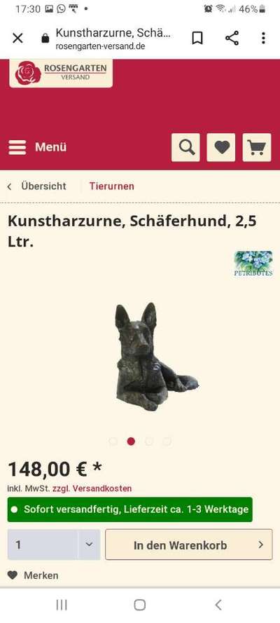 Alles rund um den Schäferhund, diskutieren erwünscht.-Beitrag-Bild
