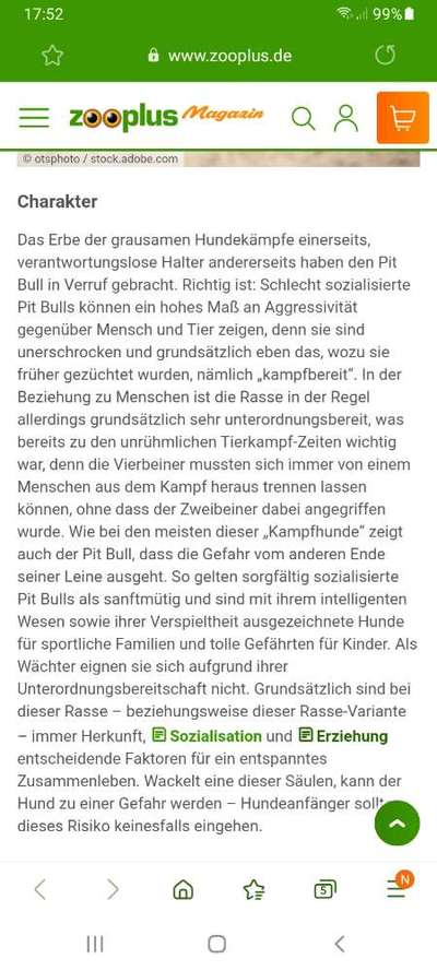 Rassismus bei Hunderassen-Beitrag-Bild