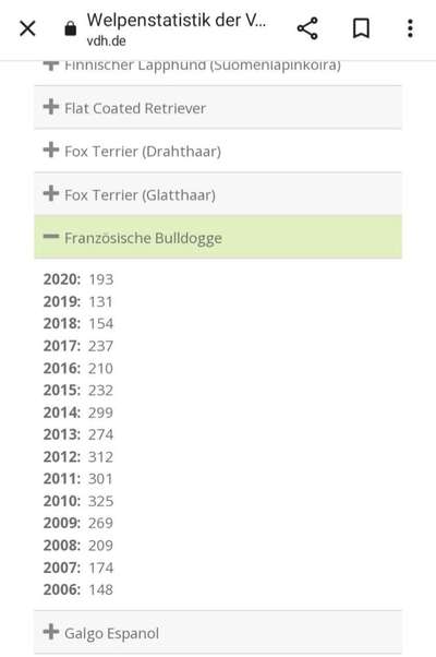 Brachycephale Hunderassen-Beitrag-Bild