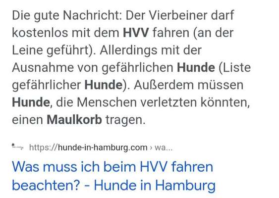 Alles rund um den Schäferhund, diskutieren erwünscht.-Beitrag-Bild