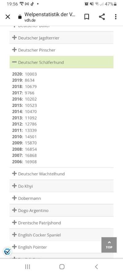 Alles rund um den Schäferhund, diskutieren erwünscht.-Beitrag-Bild