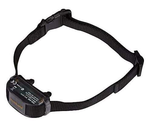 Alles rund um den Schäferhund, diskutieren erwünscht.-Beitrag-Bild