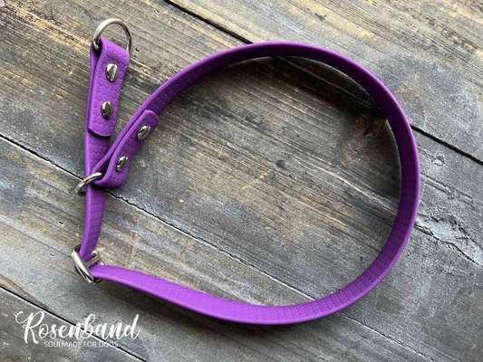 JRT Glatthaar Halsband Scheuerstellen-Beitrag-Bild